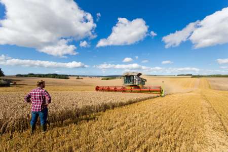 Agriculture Tips for Avoiding Discrimination in an Employment Setting