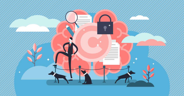 Copyright Infringment Case Study Copyright Infringment Case Study