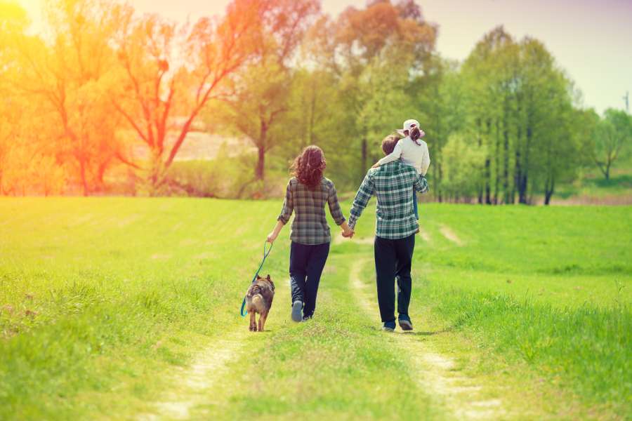 Family Arbitration An Alternative Means of Dispute Resolution