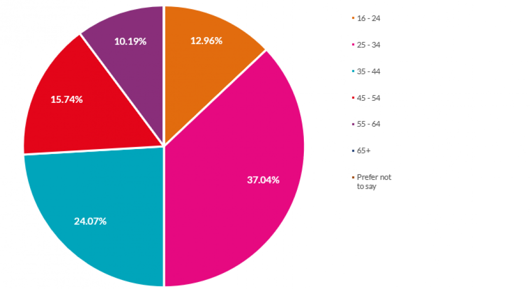 Age category pie chart