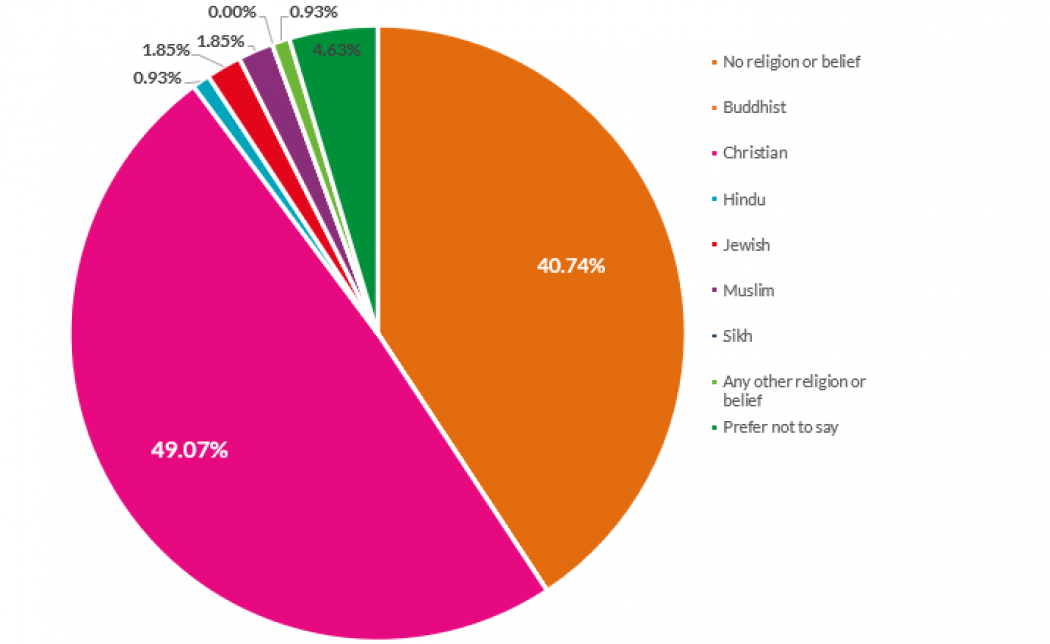 Religion/Belief pie chart
