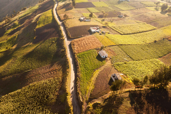 Inheritance Tax Issues with Agricultural Property Relief Inheritance Tax: Issues with Agricultural Property Relief