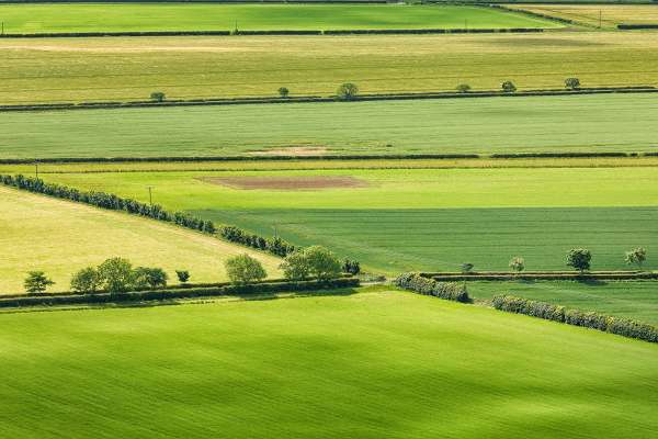 Land, agricultural premises and estates