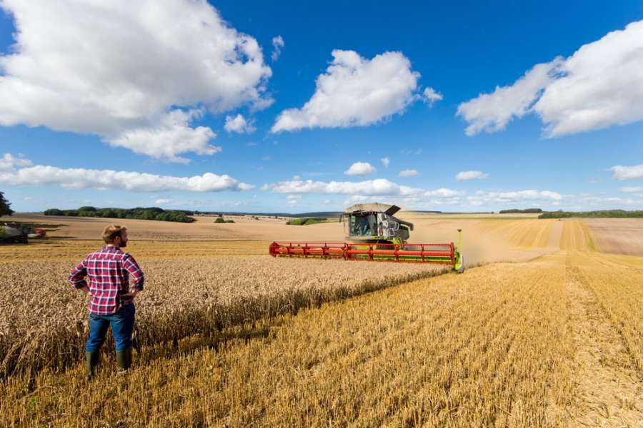 Employees in the Agriculture Sector min