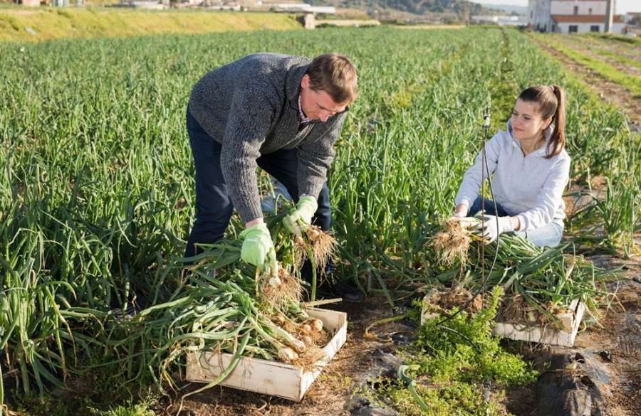 Tips for Farming Families