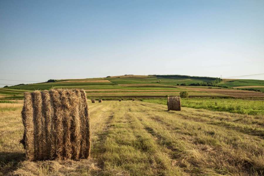 agricultural solicitors v2