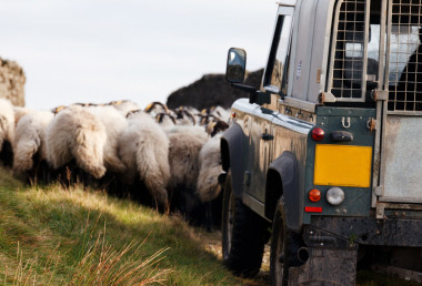 Farmer Didn’t Want a Wife: Unmarried partner left homeless