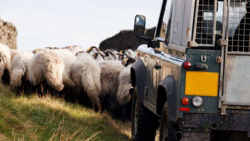 Farmer Didn’t Want a Wife: Unmarried partner left homeless