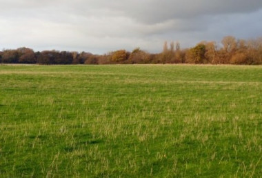 Manchester proposes bigger, greener plans for the future