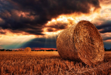 Agricultural Property Relief Guide