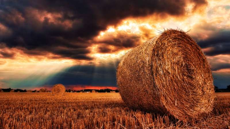 Agricultural Property Relief Guide