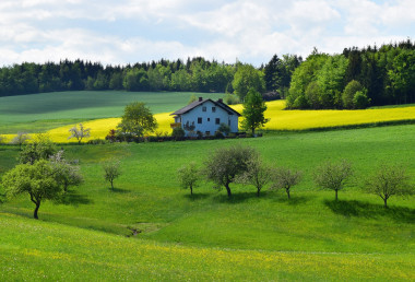 Ag tag removed where asking price was too expensive for most eligible rural workers