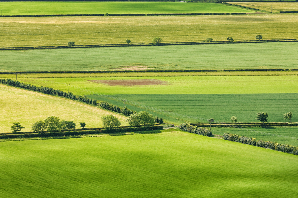 Agricultural Property Relief Myerson Solicitors