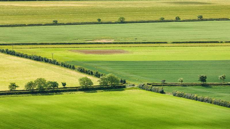 Agricultural Property Relief