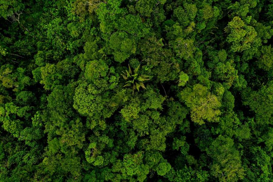 Biodiversity Gain Plan