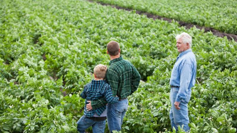 How Will the 2026 Changes to Agricultural Property Relief and Business Property Relief Affect Gifts to Younger Family Members?