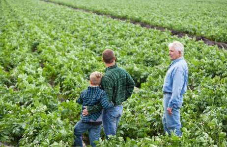 Changes to Agricultural Property Relief and Business Property Relief in April 2026 How to protect gifts to younger family members