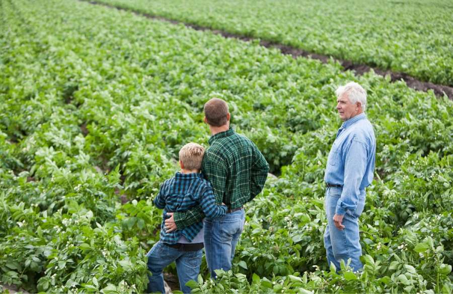 Changes to Agricultural Property Relief and Business Property Relief in April 2026 How to protect gifts to younger family members