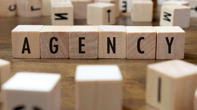 Commercial Agent: Individual or Company?