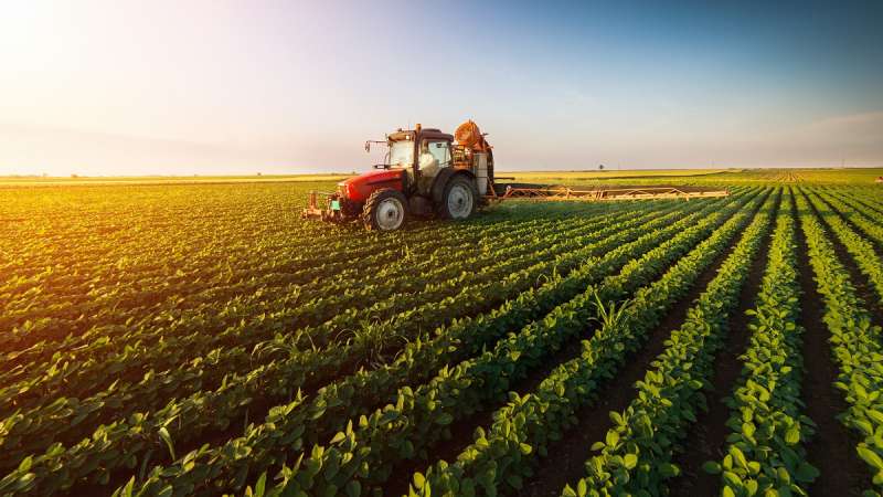 Effectively Managing Seasonal Workers in the Agricultural Sector