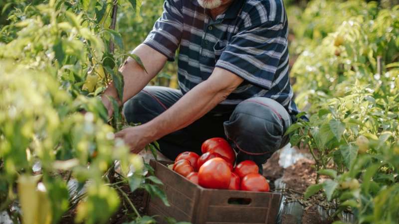 Fair Work Agency and Agricultural Businesses - What Does the Future Hold?