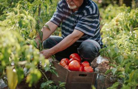 Fair Work Agency and Agricultural Businesses What does the future hold
