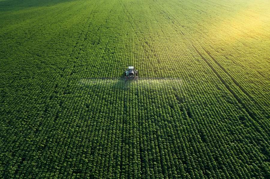 Family Business Buy Outs in the Agricultural and Rural Business Sector 