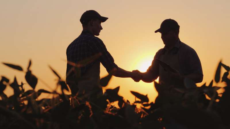 Inheritance Tax Changes for Farmers and Rural Businesses: What They Mean for You