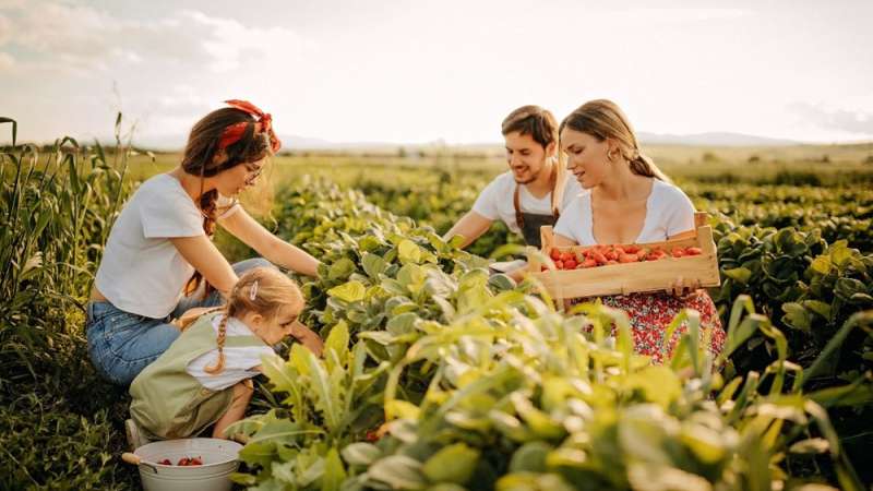 Parenting Arrangements in Farming Families: Balancing the Paddock and Parenthood