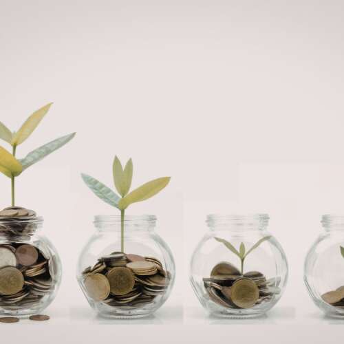 Is a Family Investment Company Right for You