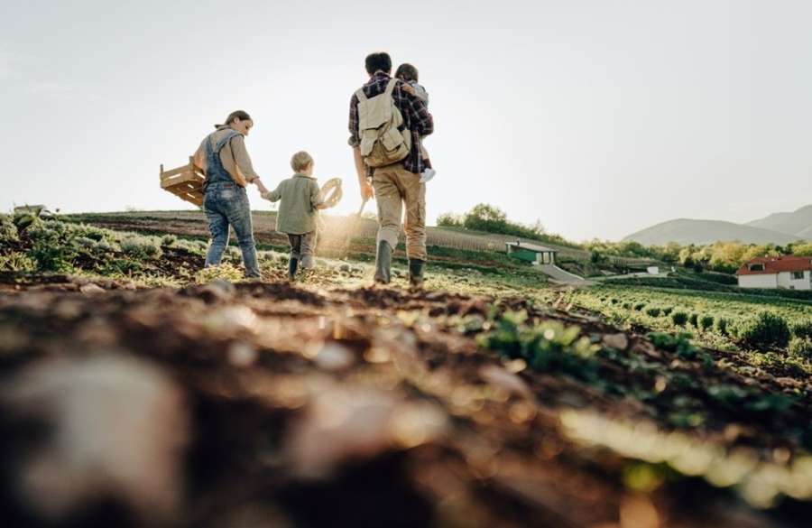 Key challenges in Agriculuture Parenting arrangements v2