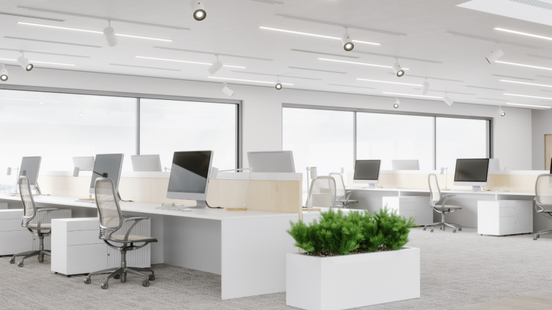 Employment Law Autumn Update