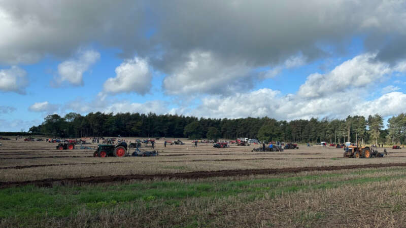 Cheshire Ploughing Match 2026: A Special 100th Celebration