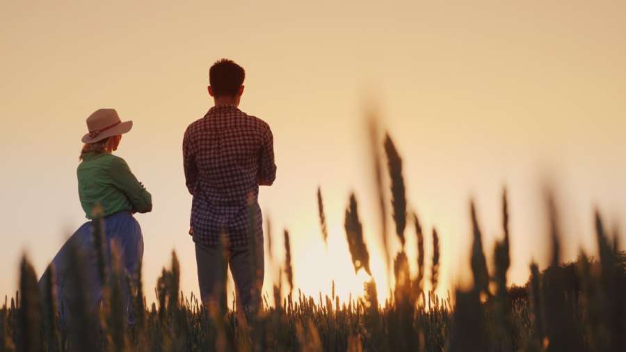 farming divorce
