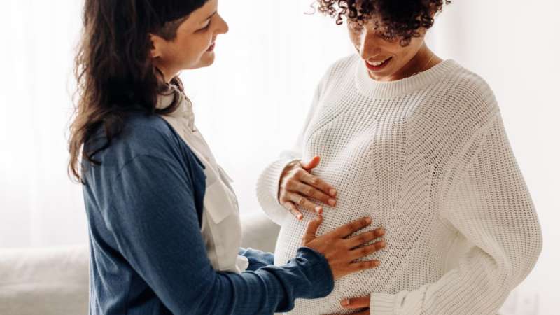 Reasonable Expenses or Income? A Landmark Ruling on Surrogacy Payments in the UK