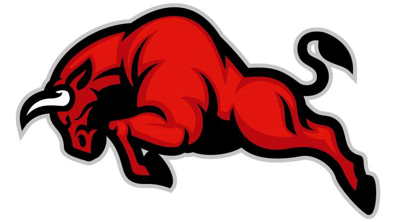 Trademark Infringement: Red Bull v Big Horn