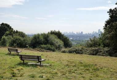 The Hampstead Heath Squatter: Claiming Ownership Through Adverse Possession