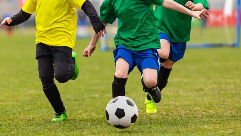 Structuring Gyms and Sports Clubs: Company, CIC or Charity?