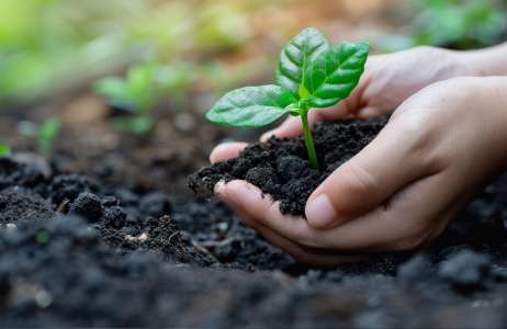 The New B Corp Standards for 2025 Explained