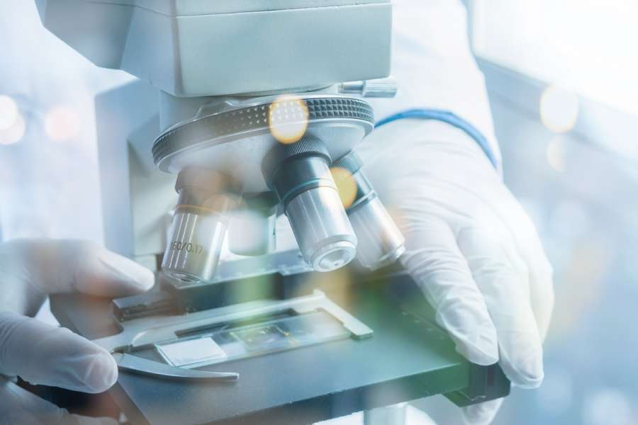 The Rise of Life Sciences