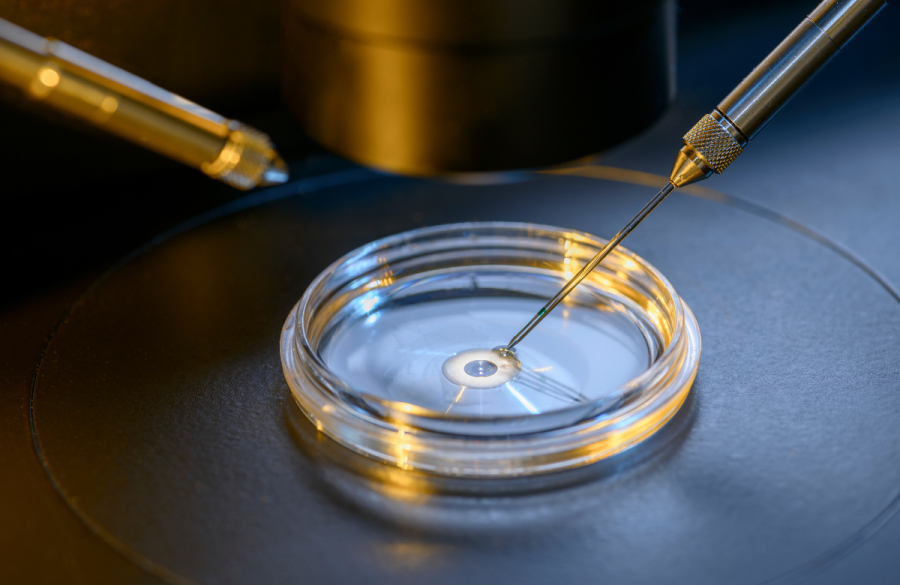 Understanding the Legal Requirements for Posthumous Conception