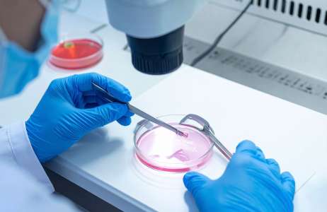 What Is Posthumous Conception and Is It Legal in the UK
