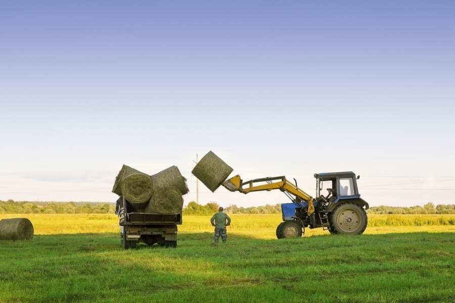 What Rights Do Agricultural Workers Have