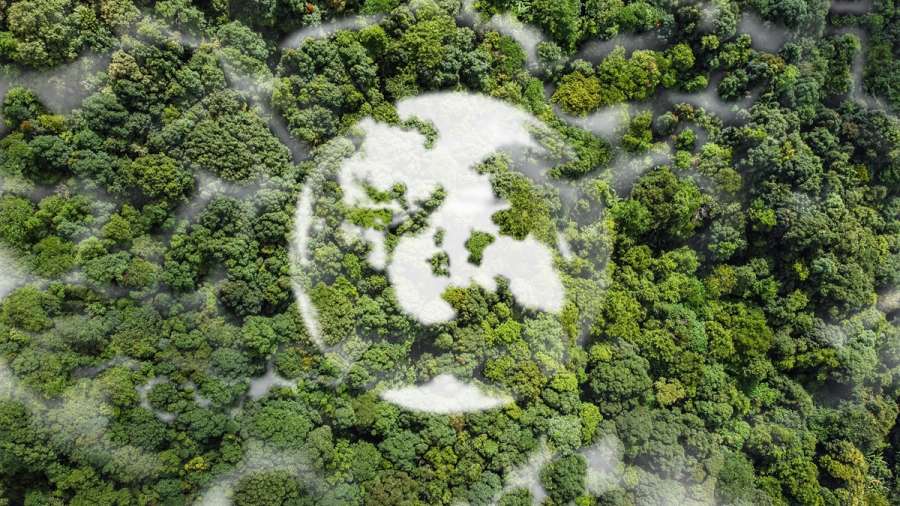 What does greenwashing look like in practice