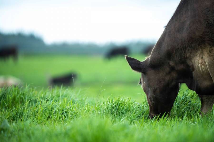 What is agricultural property