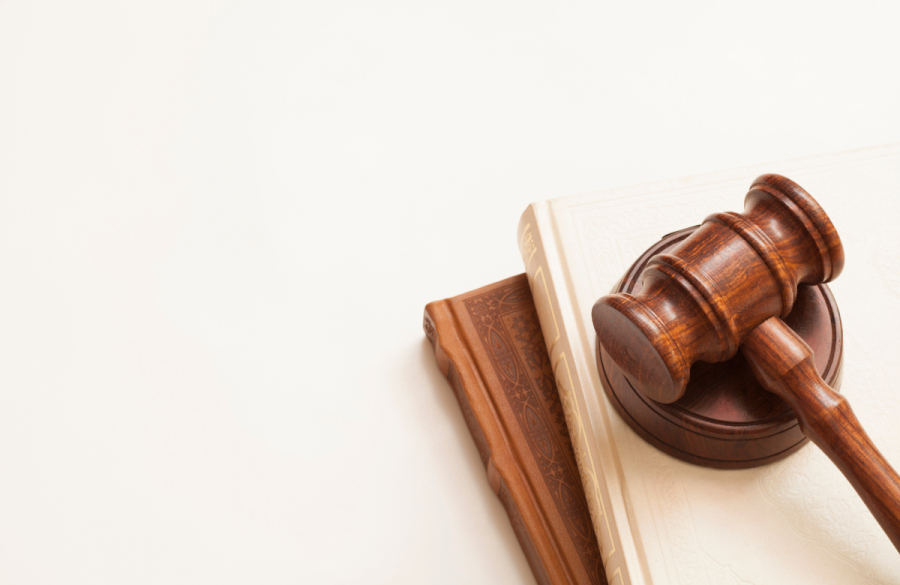 Who pays the costs of the annulment application