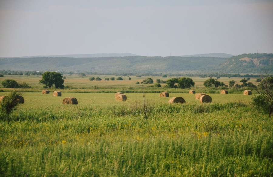 Why Agriculture Is in the Spotlight