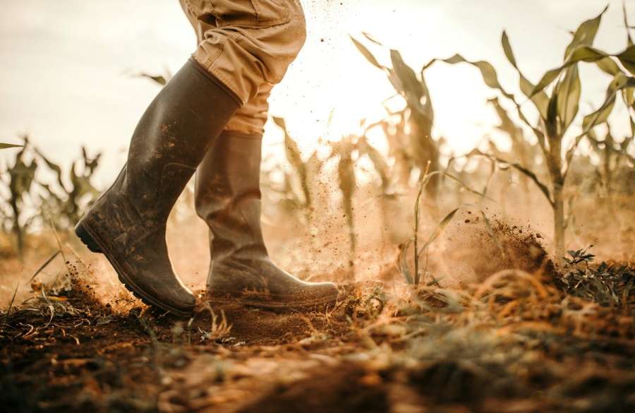 Why Farmers and Business Owners Must Act Now