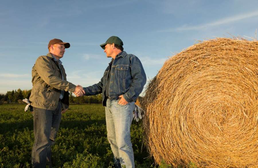 Why informal family agreements are so common