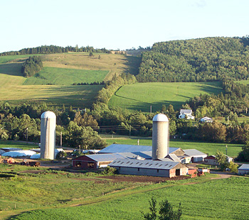 farm sales purchases